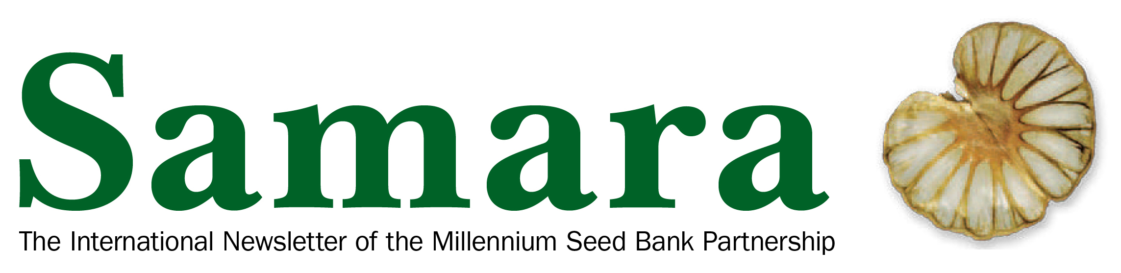 Samara: the international newsletter of the Millennium Seed Bank Partnership